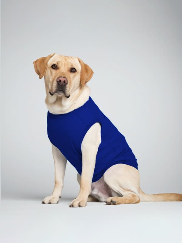 Rare Ember Unisex Dog T-Shirts